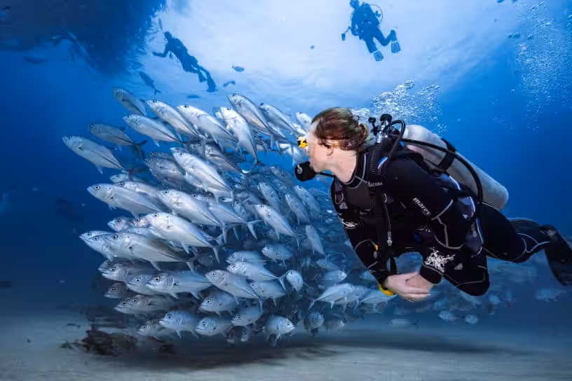 Advanced open water diver feat