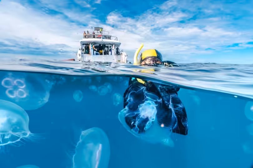 Open water diver feat