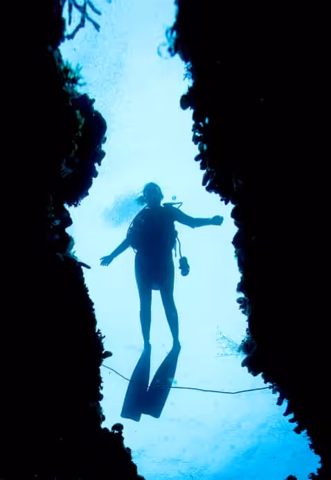Footer diver split